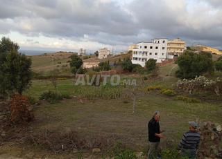 2 LOTS DE TERRAINS A VENDRE. - KSAR SGHIR - MLEICH