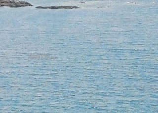 Appartement à vendre 55 m² à Casablanca