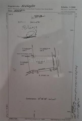 2 هكتار sd1 طريق أمزميز 650درهم - 2