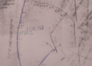 ابن أحمد قرب الزاوية التاغية