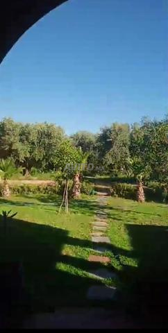 Terrain 2400 mXm km 23 Rte Abdellah Riyyat 