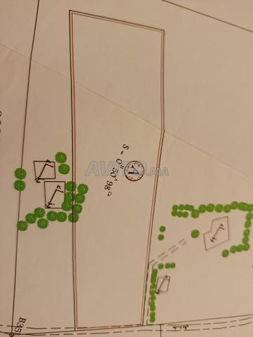 دوار اولاد بوروبس مالين لوطا بنسليمان