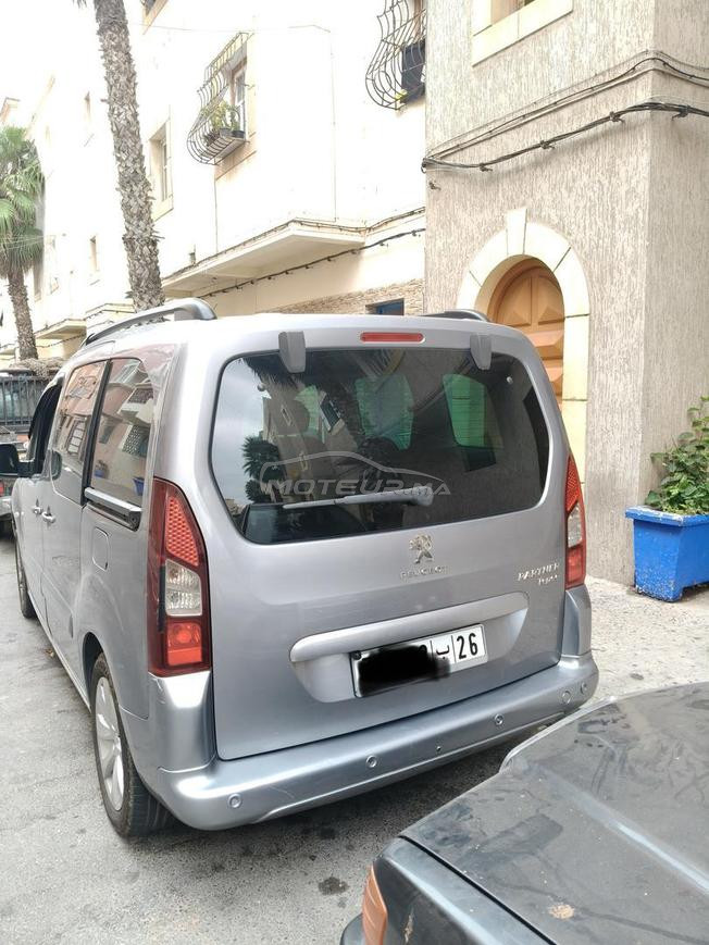 Peugeot tepee