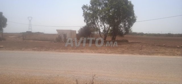 TERRAIN AGRICOLE STRATÉGIQUE ENTRE CASA & EL GARA