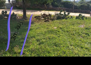 Boukador, route reliant Cheraga et Larbaa Ain Dalia