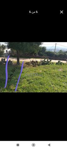 Boukador, route reliant Cheraga et Larbaa Ain Dalia