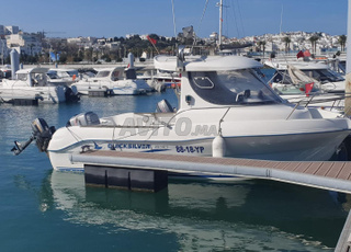 Bateau de Plaisance  Quicksilver 630
