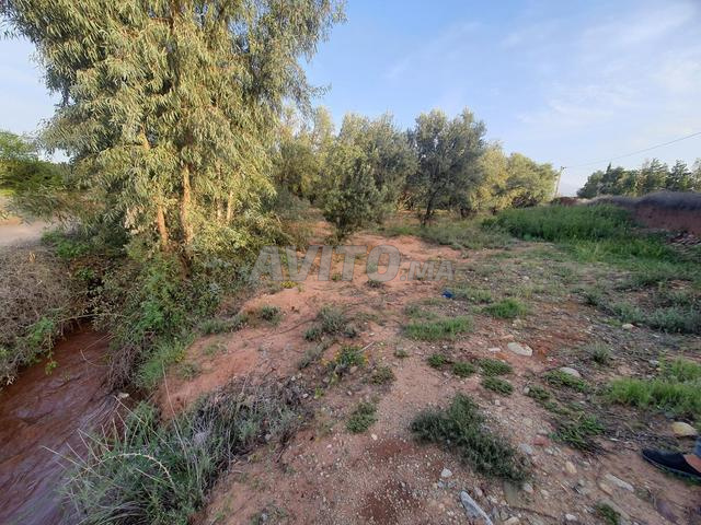 Joli terrain route Ourika bien situé  - 2