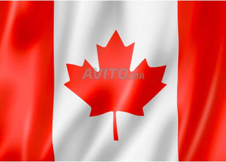 Cours d’anglais à distance par prof Canadien