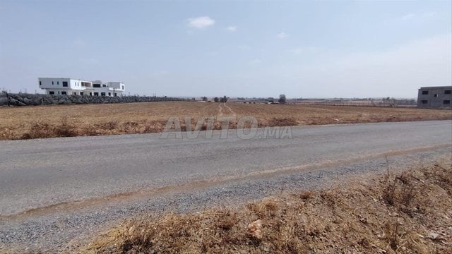 1.6 هكتار مملوك على الطريق في بنسليمان