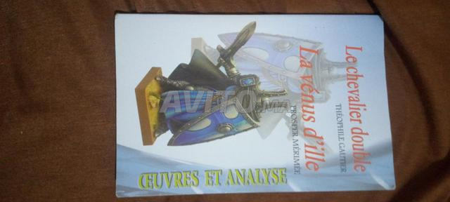 le chevalier double Théophile Gautier 