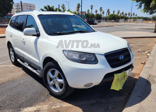 hyundai  santafe 