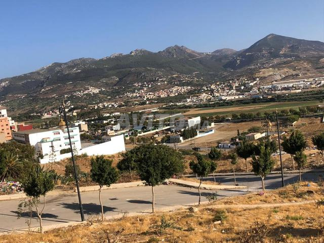 2 terrain titre 200m2 - 2