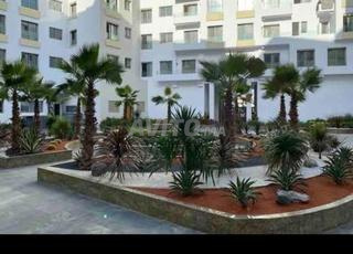 شقة للكراء اليومي 