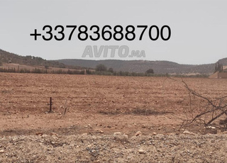 terrain tid-mit route sidi -yahya 