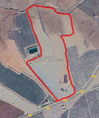 Vend terrain agricole à Ain Leuh