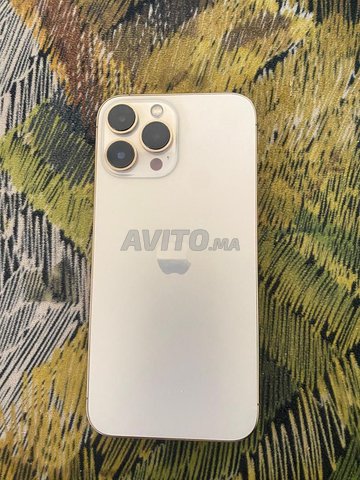 iPhone 13 pro max 