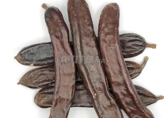 خروب بلدي جودة ممتازة | بيع بالجملة و التقسيط