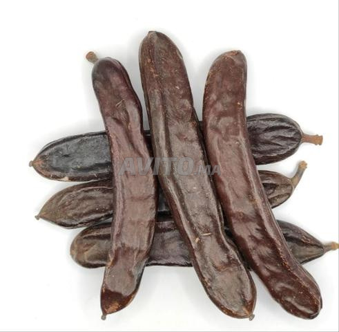 خروب بلدي جودة ممتازة | بيع بالجملة و التقسيط