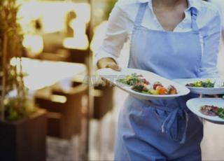 Serveuse sérieuse et expérimentée disponible