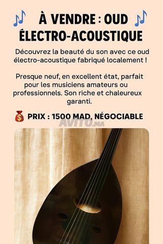Oud (عود) électro-acoustique à vendre 