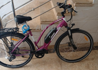 دراجة كهربائية 