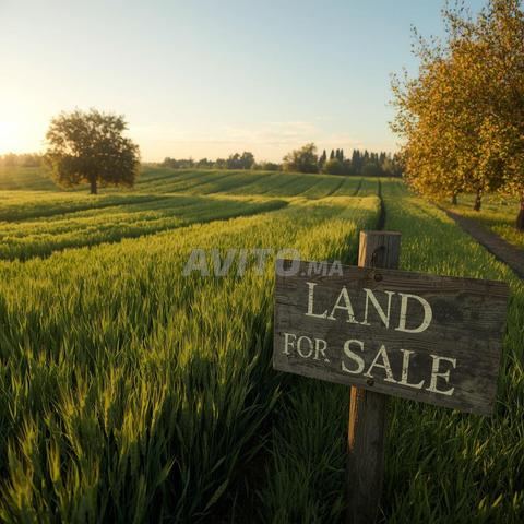 Terrain agricole à vendre — 56 hectares - 2