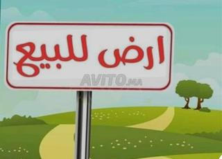 ارض للبيع 