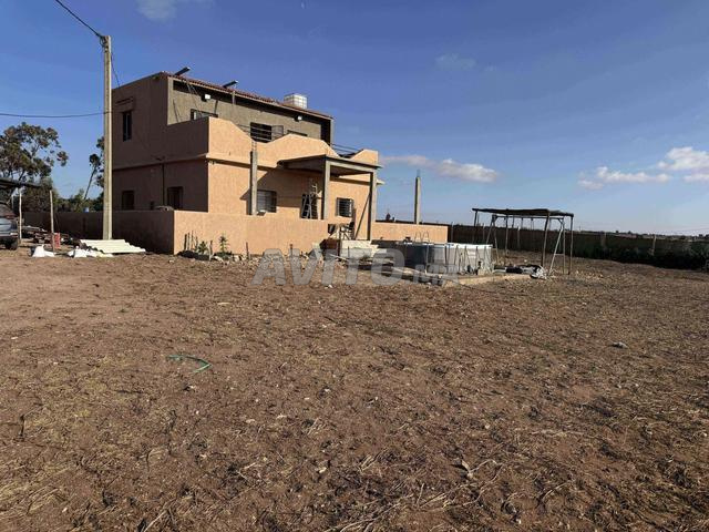 Hectare et 500 m titre avec puits et maison
