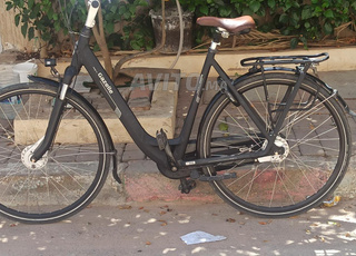 la gazelle orange c7