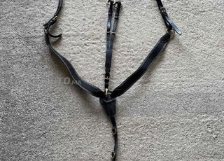 collier de chasse 