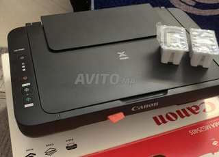 طنجة مرجان مغوغة