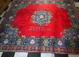 2 Zerbia rbatia hourra 