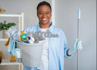 Femme de ménage et nounou