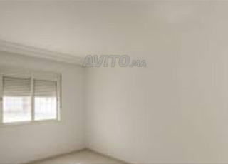 appartement 55m alliance 