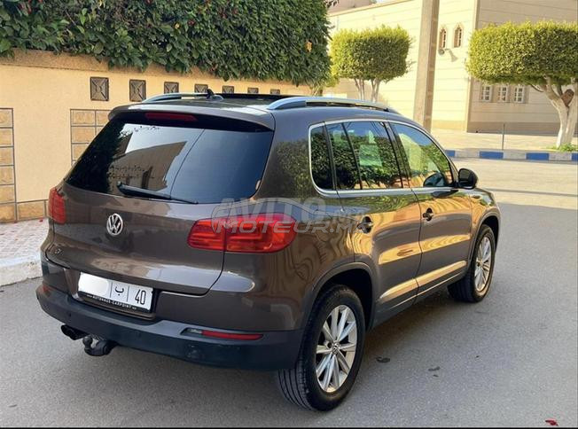 tiguan 2L touts options