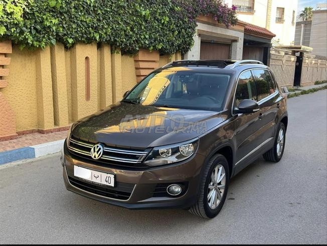 tiguan 2L touts options