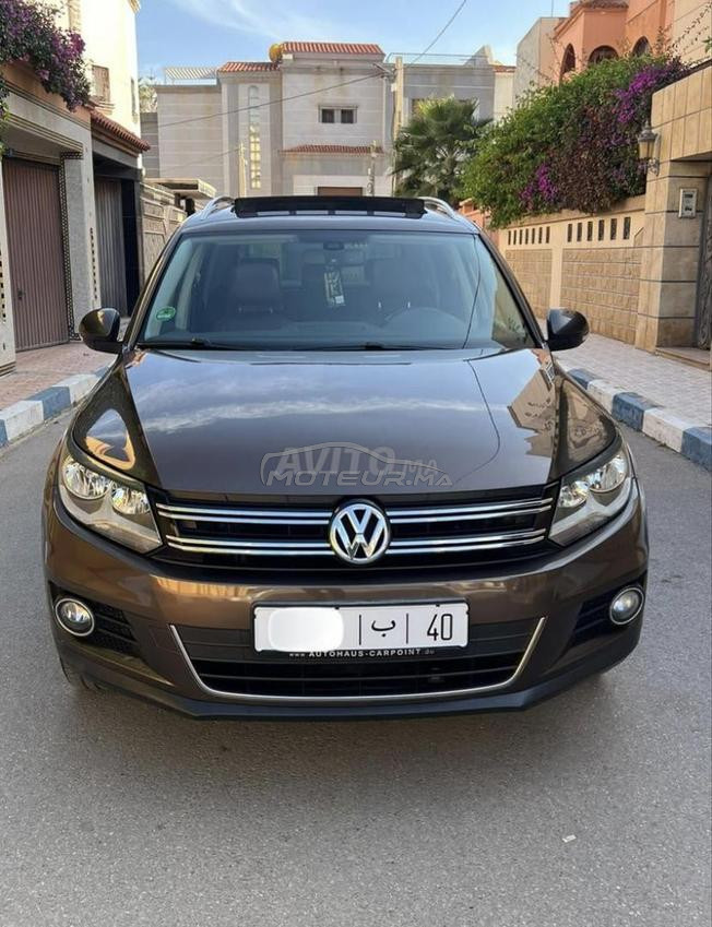 tiguan 2L touts options
