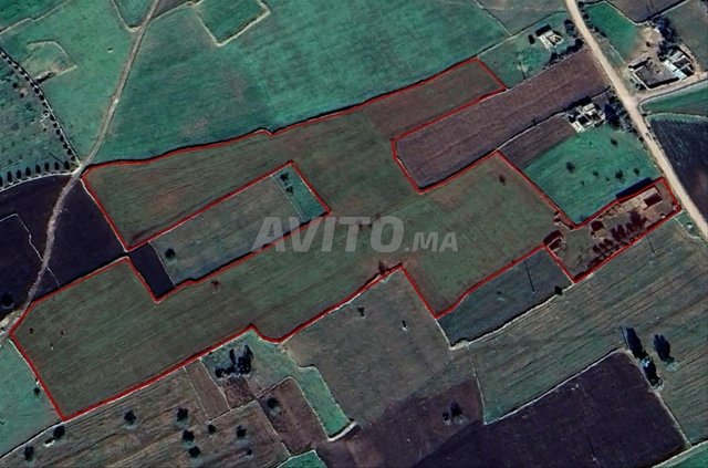 أرض فلاحية للبيع نواحي تلات ولاد حمدان 