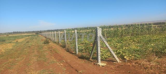 هكتار ونصف موثق بالقرب من بوفكران