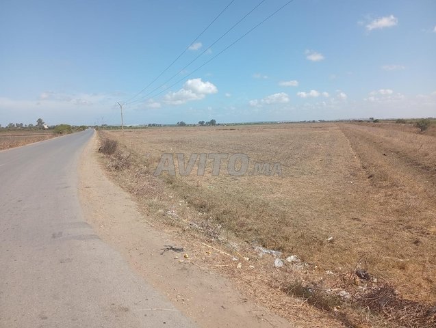 للبيع أرض استراتيجية على الطريق الرئيسية