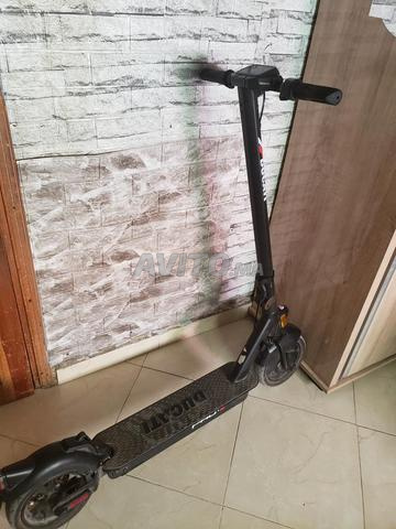 تروتنيت ducati