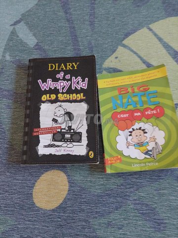 2 BD Diary of a wimpy kid et big nate