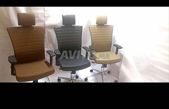 les chaises visiteur et président de l'importation - 2