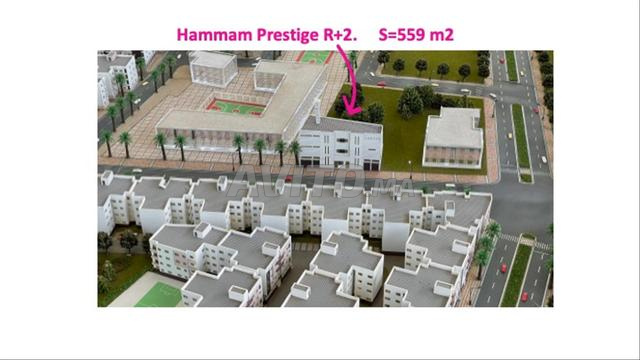 Terrain autorisé Hammam R plus 2 à vendre