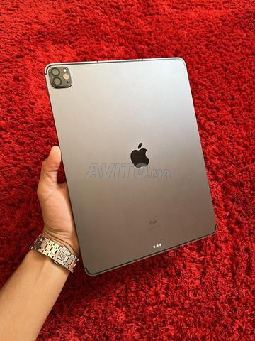 iPad pro m1 12.9 wifi /5G 256g