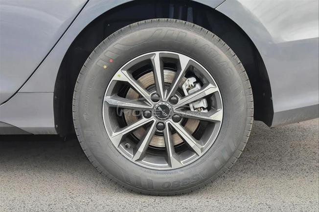 BYD Destroyer 05 55 Luxury Edition