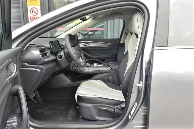BYD Destroyer 05 55 Luxury Edition