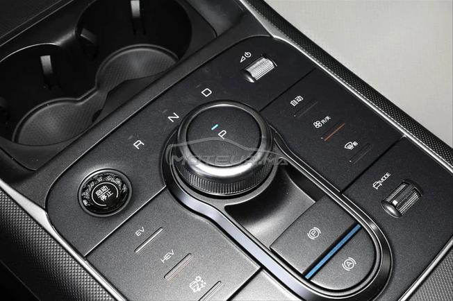 BYD Destroyer 05 55 Luxury Edition