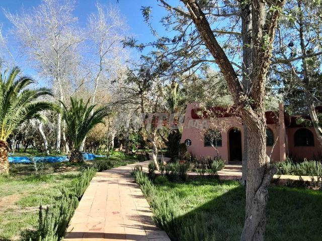 Vente Ferme de 10000 m2 à Benslimane